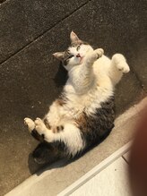 リラクゼーション 圓 スタッフ 山田