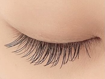 カラン 焼津店(CALIN)/フラットラッシュ100本