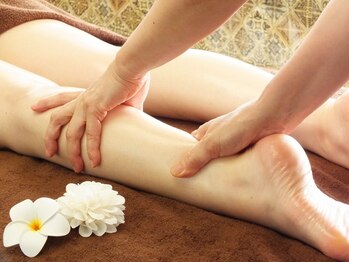 アート彩輝/バリニーズ脚