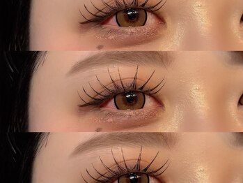 ディアマン(Diamant)/パリエク80本