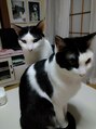 ビューティフィーサロン ベルル(Belulu) 我が家の家族のそらくん、まめちゃん