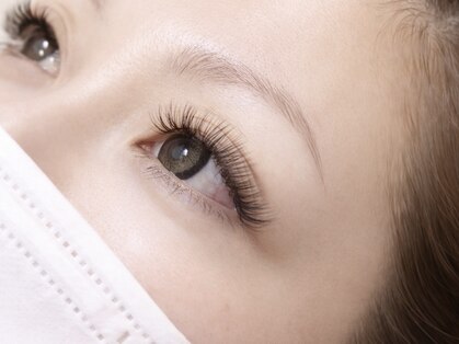 ナナラ(Nanara)の写真