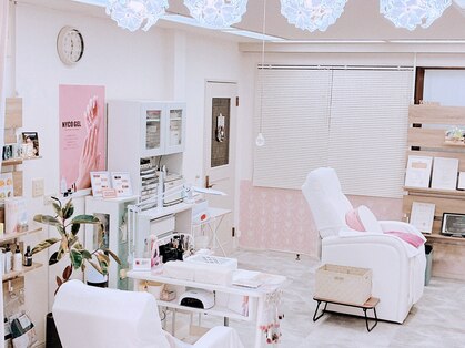 アリッサム(Alyssum)の写真