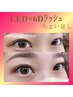 《再来付足》　6Dエクステ　60本(10束)　LED　¥3,850～