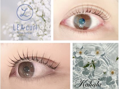 アイラッシュリゾートカハラ 大森店の写真