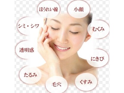 クローバー(CLOVER)の写真