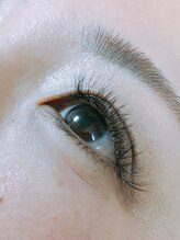 デリカトゥーラ(Delicatura)/