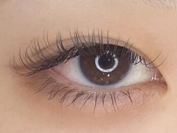 成美ビューティーサロン(成美beauty salon)/フラットラッシュ