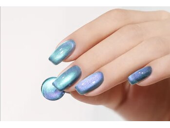 ワンダー(WONDER)/マグネット新色入荷