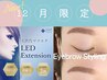 《12月限定の特別セット》★LEDエクステ80～100本＋アイブロウ ￥11,400～