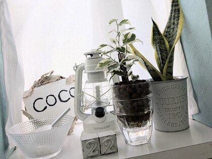 ココ(COCO)の写真