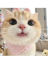 エル ヒヒ(L ヒヒ) 上野 猫