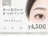 【期間限定】選べる似合わせまつ毛パーマ+ブラックティント¥4500