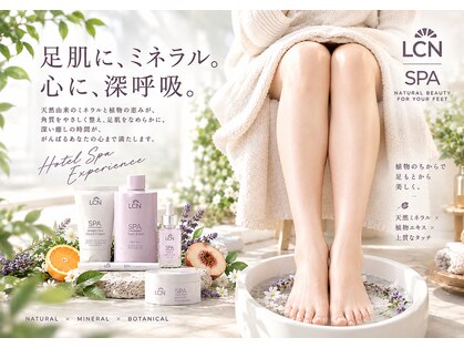 ウムラウト(Umlaut)の写真