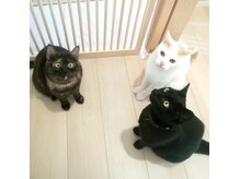 バロン(BARON)の雰囲気（ねこがお出迎えさせていただく事もございます(=^・^=)）