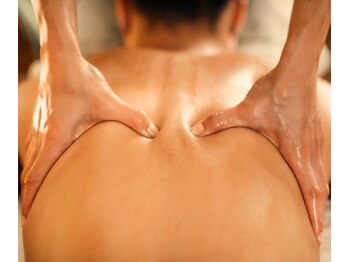 櫻陽(Ouyou)/背中のハリ