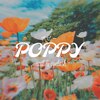 ポピー(POPPY)のお店ロゴ