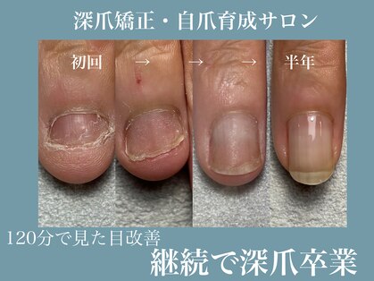 トレフル(Trefle)の写真