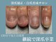 トレフル(Trefle)の写真