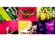 ネイル ゴシップ(Nail Gossip)の写真