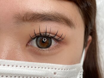 ビアンド(Be&)/フラットラッシュ１２０本