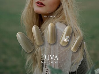 ディーバ 海老名店(Diva)/ワンカラープラス