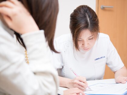 キララ(Kirara)の写真