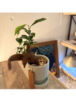 オージャススパ/