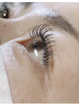 ナップ(Napp)/フラットラッシュDカール120本