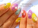 ５色のマグネット尽くし