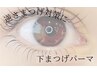 下まつ毛パーマ【逆さまつ毛対策】（下まつげパーマ）￥4400→￥4000