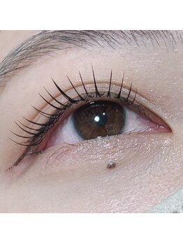 オーガスト(August)/フラットマットラッシュ100本