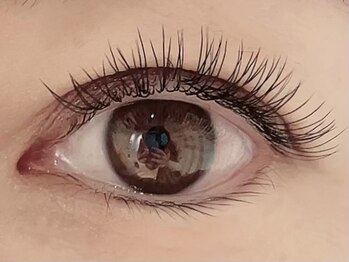 カラン 焼津店(CALIN)/フラットラッシュ120本