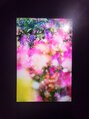 ラズリショウナン(Lazuli SHONAN) 蜷川実花さんの個展に行きました♪世界観、色使いが好きです!!
