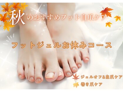 リリ(lili)の写真