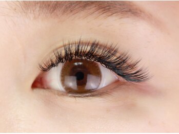 ラッシュスタイル 春日井店(Lash style)/シングルプラス付け放題