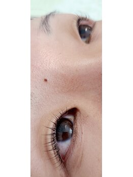 コア(Koa)/目の光が入るパリジェンヌ