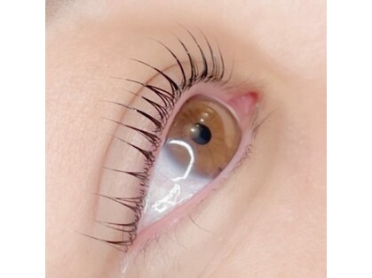 ジジ(jiji)の写真