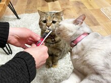 エスポリー(ESPORY)/