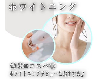 リコリス(Lycoris)/効果×コスパ