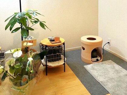 カピリナ(kapilina)の写真
