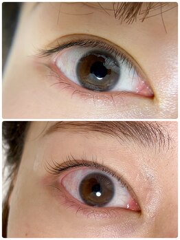 プルームミコ(Plume mico)/ラスティングカール