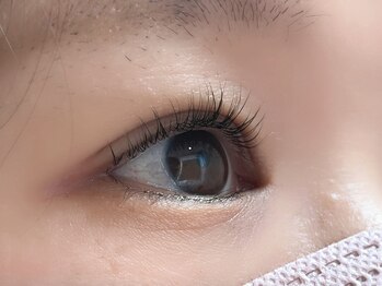 アンシル(ANCIL)/まつげパーマ　60分　¥3780