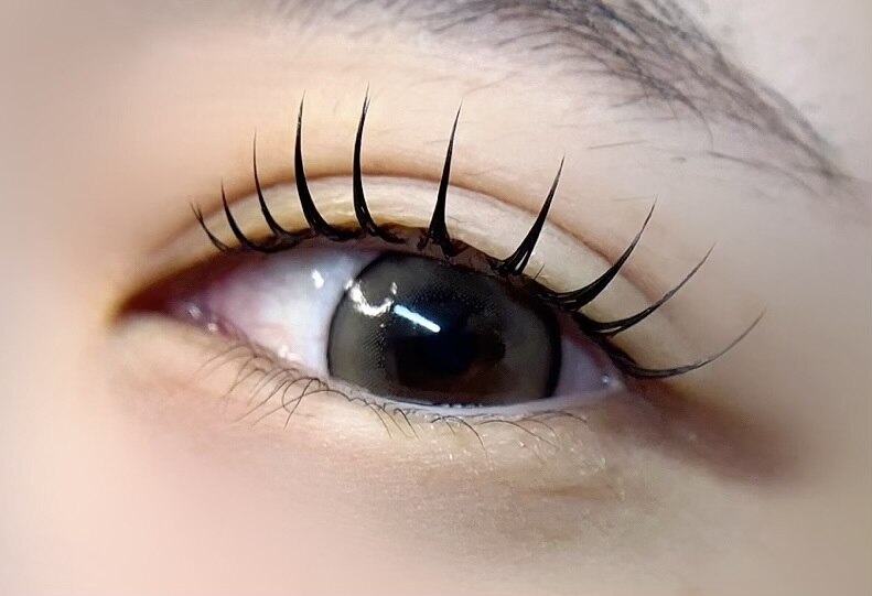 2月限定♪自然派エクステ×ラッシュリフト &healthy 80 