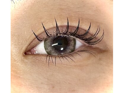 エム カシェット(M.cachette)の写真