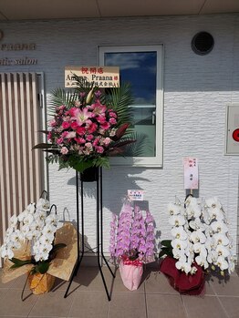 アマナプラーナ(Amana Praana)/