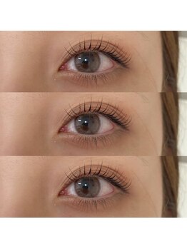 シュガー(Sugar)/ラッシュリフト