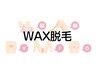 《男女OK》WAX脱毛！エチケットメニュー（VIO＋脇＋脚）　1回¥14000
