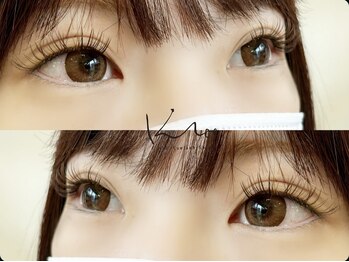 クレー(Klee)/ダブルフラット100束