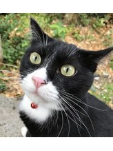 キャッスル(Castle) Nozomi 
